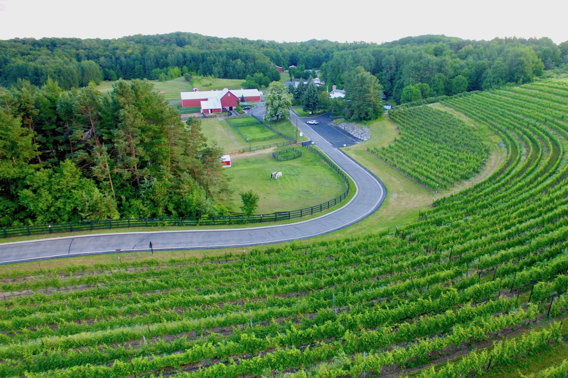 Wine and charcuterie with vineyard view on Leelanau Peninsula